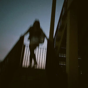 Meet your Posher, Bella